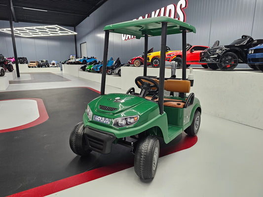 Kinder Golfkar 24 volt